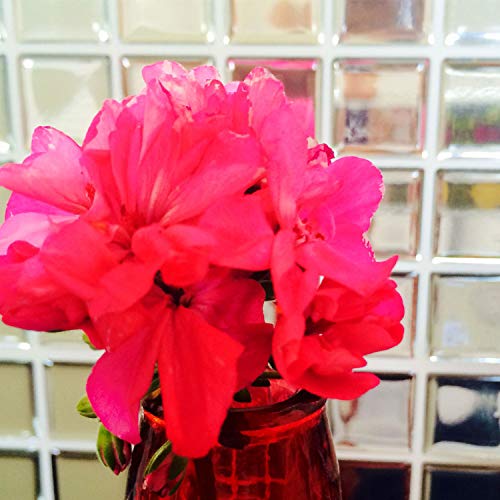 Pastilha Adesiva Resinada Espelhada Prata Kit 4 Placas