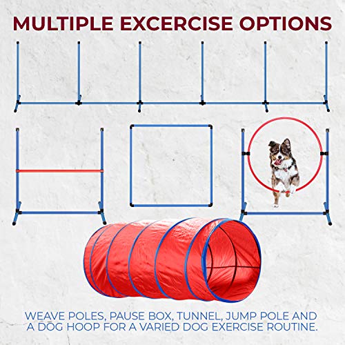 CHEERING PET, Premium Dog Agility Equipment Set, 5 Pieces of Dog Training Fun, Tunnel, Dog Jump, Hoop, Weave Poles and Easy Carry Case Indoor or Outdoor Dog Agility Training