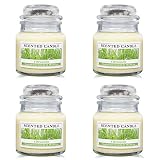 Soyyla Citronella Candles Outdoor and Indoor, 4 Packs of 4 oz Portable Glass Jar Candle, Natural Soy