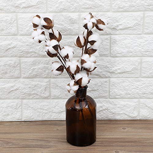 3 unidades tallos de algodón natural secos de 60 cm miniatura 3