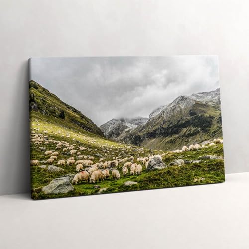 Image sur toile moutons en montagne pour créer un salon chaleureux et cocooning