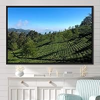 Framed Canvas Wall Art Greenlands Aerial Dark Farmhouse/Country Green Nature Photography Realism Relax/Calm - 16x24 inches