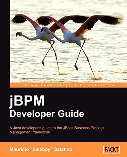 jBPM Developer Guide view 2