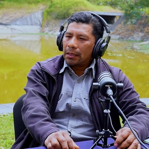 #102.3 Ma&iacute;z nativo en la meseta pur&eacute;pecha: producir m&aacute;s sin perder la ra&iacute;z | Francisco Marcelo El&iacute;as