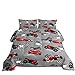 Axolotl Kid Comforter Set Twin Size,Racing Car Bedding Set for Boys Girls Teen Kids Children Racing Gifts,Race Cars Quilt Bed Set with 1 Comforter 2 Pillowcases,Red Grey
