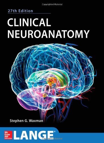 Clinical Neuroanatomy 27/E 27th by Waxman, Stephen (2013) Paperback