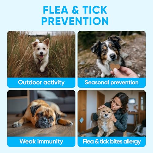 Image of Chewable Flea and Tick Prevention for Dogs - 120 Soft Chews Made in USA - Oral Flea and Tick Control Pills for Small, Medium, Large Dogs and Puppies - Skin and Coat Supplement Treats for All Breeds
