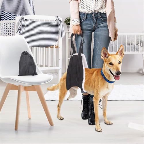 ZHENZIJ Portable Dog Assistance Strap Adjustable Length Polyester Pet Walking Aid with Soft Handle for Outdoor Travel - 5