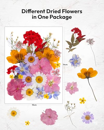 Image of Dried Flowers, Resiners 100Pcs Pressed Flowers for Craft Real Natural Dried Flowers Dry Leaves Kit for DIY Making Crafts Resin Soap Candle Scrapbook Supplies Card Making Jewelry