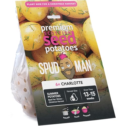 SpudMan 6 Pack Charlotte Summer Planting Seed Potatoes Grows Approx. 60 Boiling Potatoes
