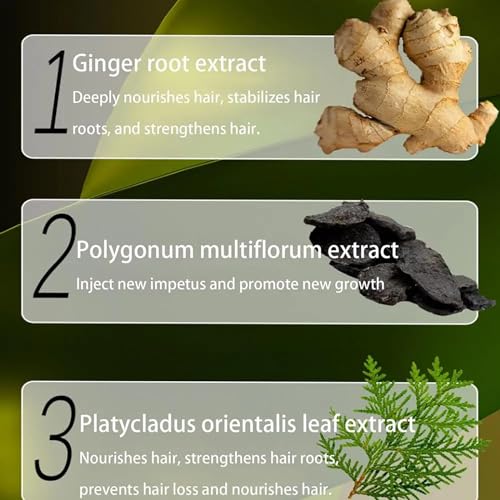 Ginger Anti Hair Loss Shampoo,Haarwachstum Shampoo,Polygonum Multiflorum Ginger Plant Extract Hair Care,Pflanzenextrakt ShampooGegen Haarausfall, Natürlich Bio Anti-Haarausfall