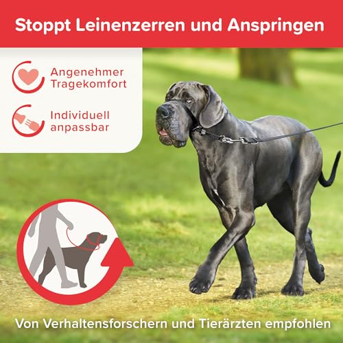 BEAPHAR - Gentle Leader® - Hundehalfter Für Große Rassen - Aus Nylon - Trainingshilfe Zur Kontrolle Und Führung - Von Tiertrainern Empfohlen - Größe L - Schwarz