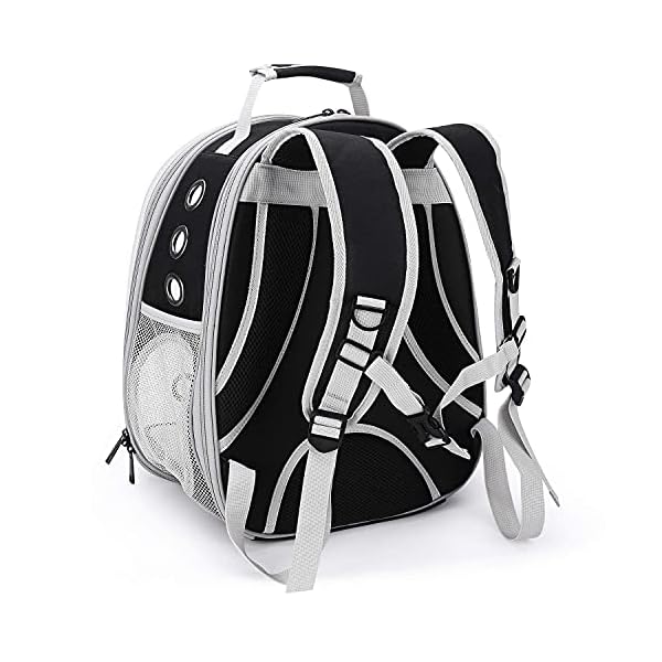 Bubble Backpack Carrier