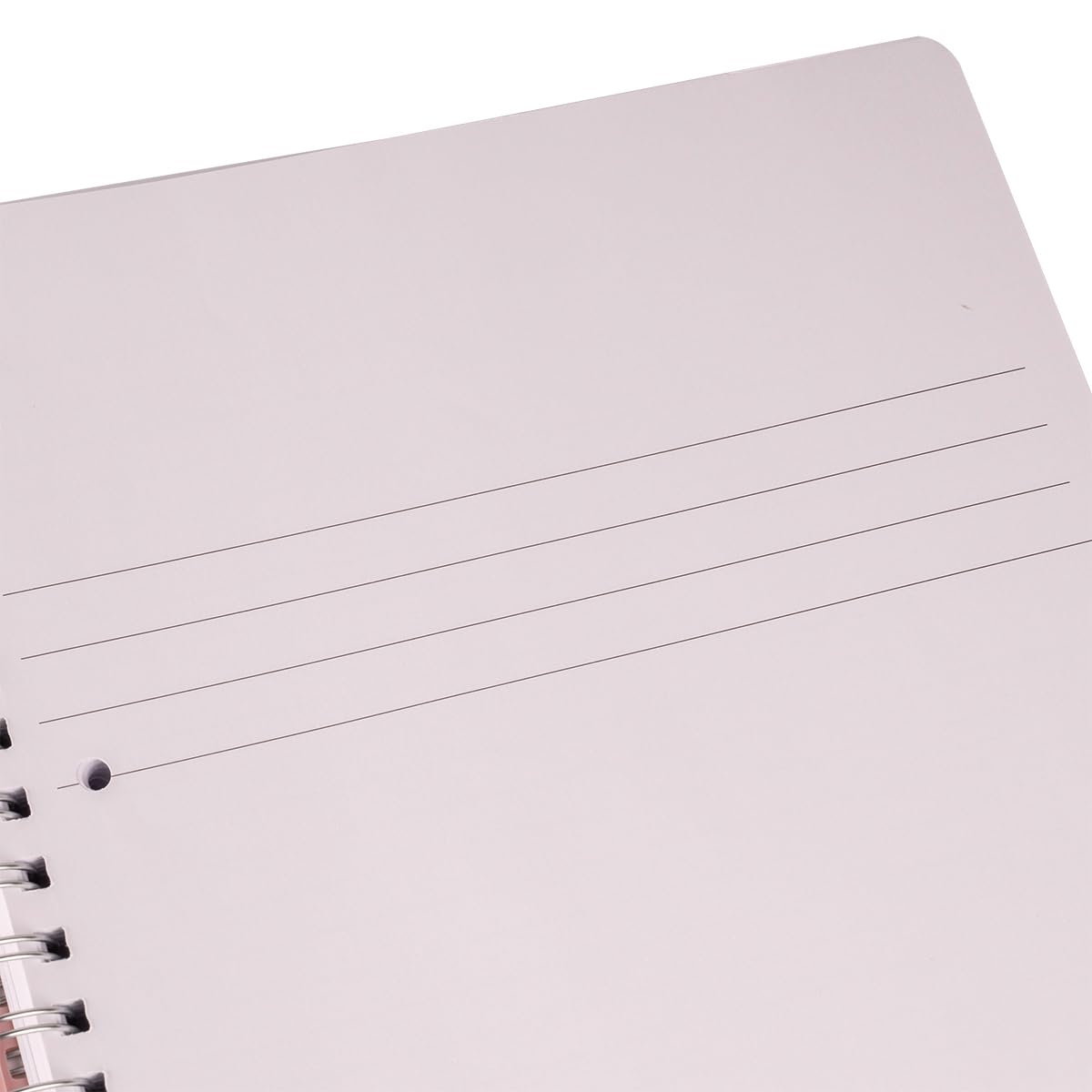 Colourbook Set 12 Quadernoni Spiralati A4 Italiano Righe 1R Per Scuole Medie Superiori Università, 160 Pagine Con 4 Fori E Microperforazione, Copertina PPL Fluo Opaca, Wire O