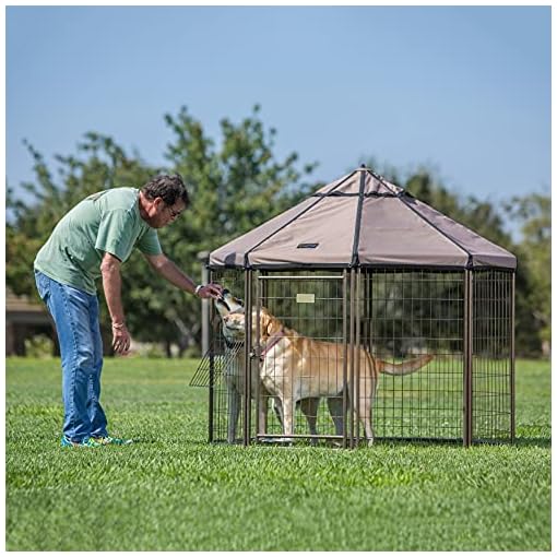 Advantek 5 Foot Portable Indoor Outdoor Metal Pet and Dog Gazebo Kennel