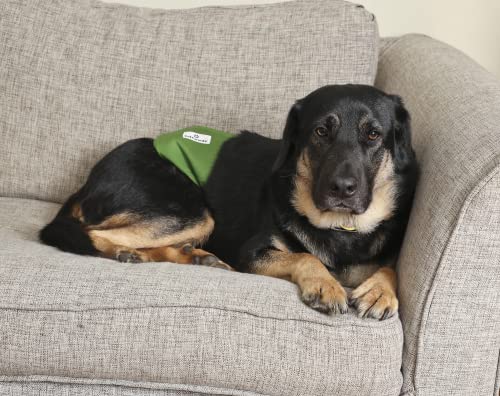 Pet Parents Premium Washable Dog Belly Bands & Extendrs, (3Pack) Of Male Dog Diapers, Male Dog Wraps, High Absorbing Belly Band For Male Dogs, Color: Gentlemen, Size: Medium Dog Belly Band #TOP4