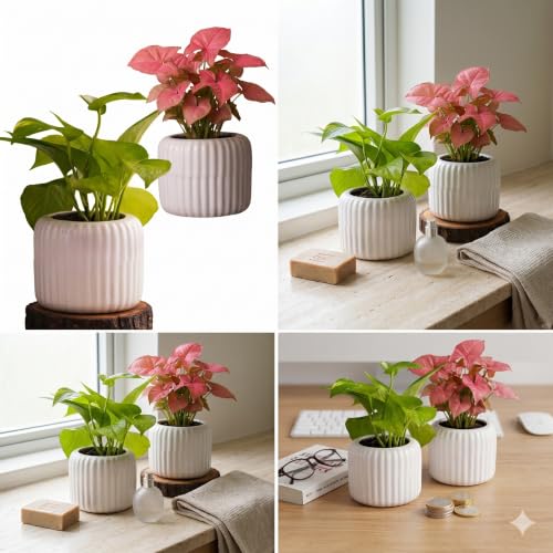 Image of Plant Pots for Indoor Plants, Succulents | Fluted Ceramic Planters for Living Room, Home & Office Decor (Set of 2, Off-White)