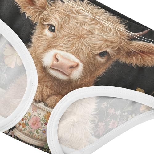 Highland Cow Toddler Girls's Underwear 2T 202c03044