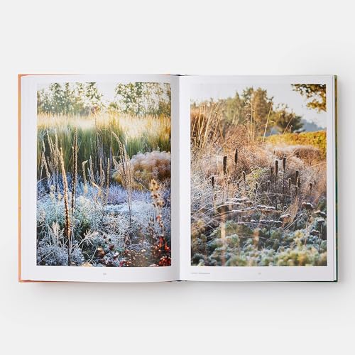 Wild: The Naturalistic Garden - Image 8