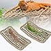 TEICCI Bearded Dragon Tank Accessories Set,10-Piece Kit Leopard Gecko Tank Accessories with Bearded Dragon Hammock, Large Reptile Bridge Hammock,Decor Suitable for Lizards, Geckos, and Chameleons