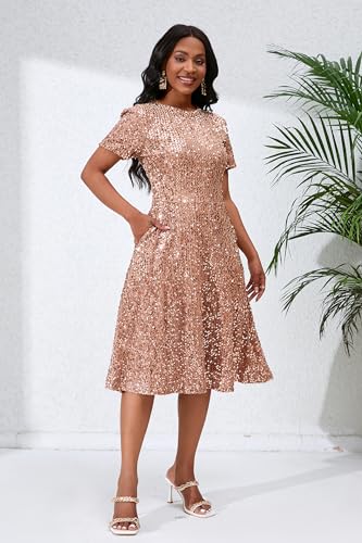 Image of Sequins Glitter Short Sleeve Women's Maxi A-line Dress - Sparkly Party Elegant