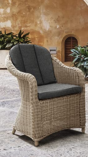 Destiny Gartensessel Malaga 2er Set, Polyrattan + Aluminium, Natur meliert
