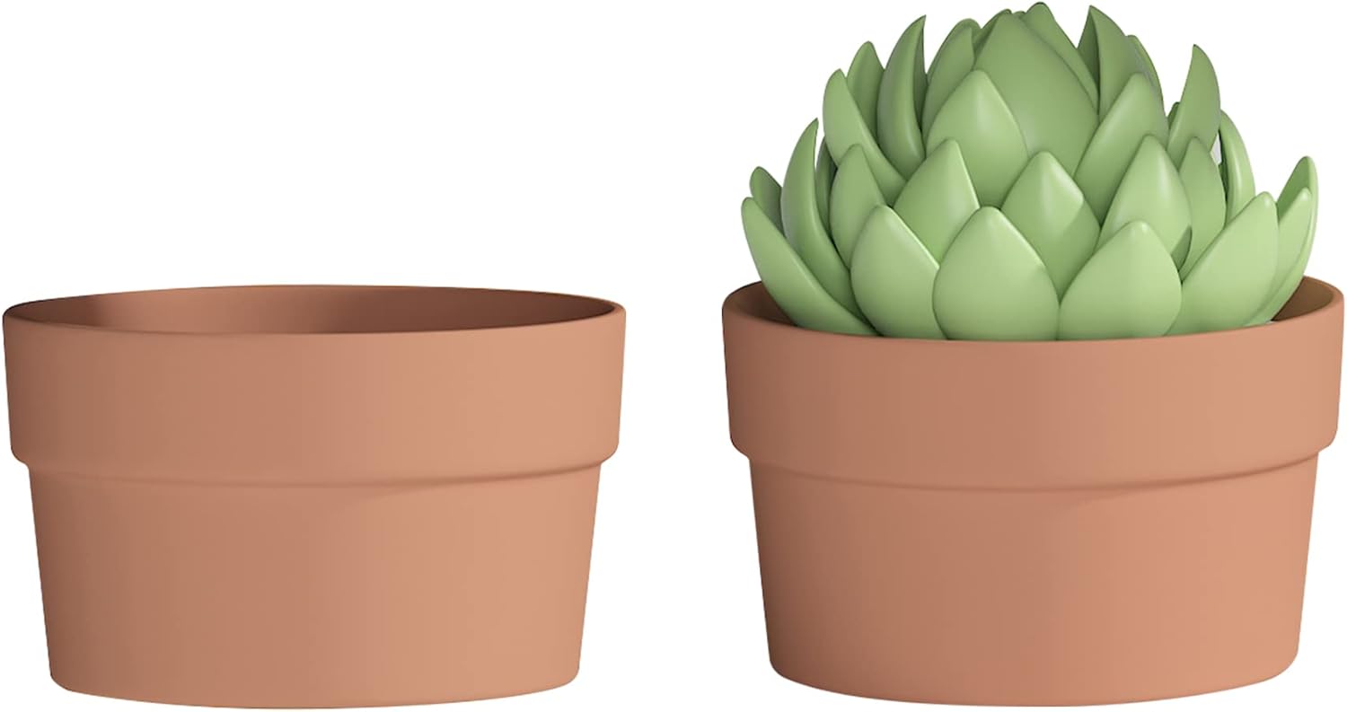 Fcacti 10 Inch Terracotta Shallow Succulent Pot - 2 Pack Large Terra Cotta Clay Pots with Drainage, Round Shallow Terra-Cotta Bonsai Pot for Indoor/Outdoor Plants
