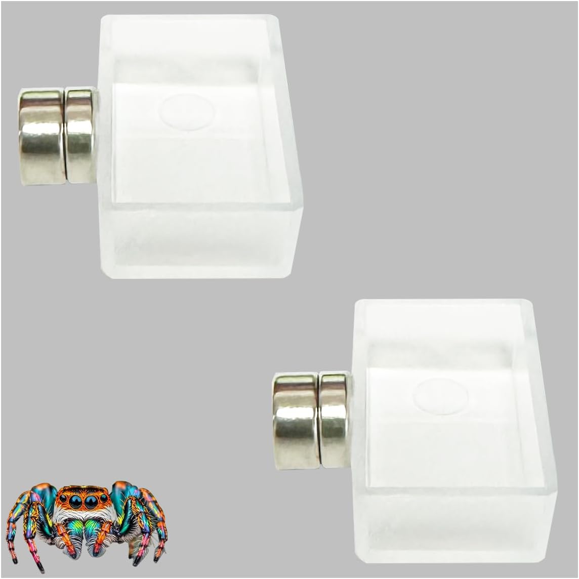 2 PCS Jumping Spider Feeding Dish, Tiny Food Dishes Water Dish for Jumping Spider, Tarantula and Other Small Pets,Transparent