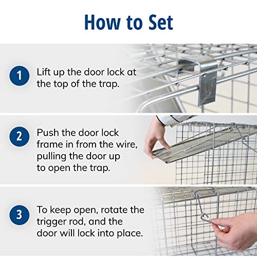 HAVAHART 1079SR Large 1-Door Humane Catch and Release Live Animal Trap Cage - Live Raccoon Trap, for Bobcats, Beavers, Dogs, & More - Thumbnail 3