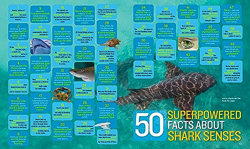 1,000 Facts About Sharks - Image 4