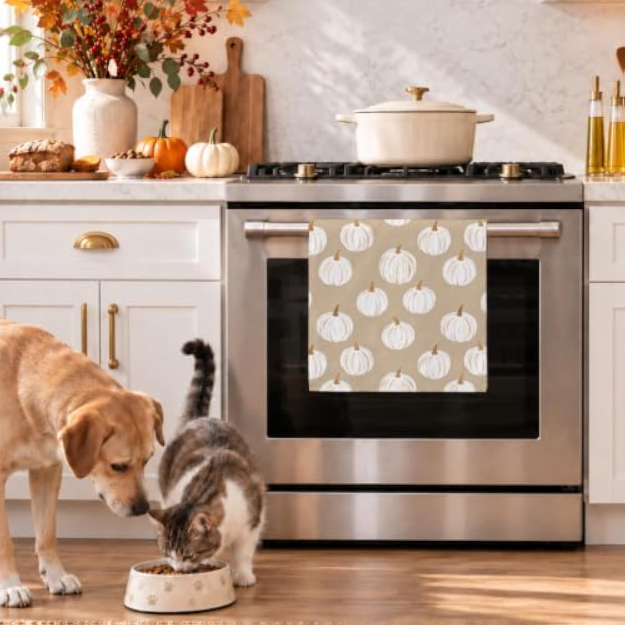 Fall White Pumpkin Decor Kitchen Towels Set of 2