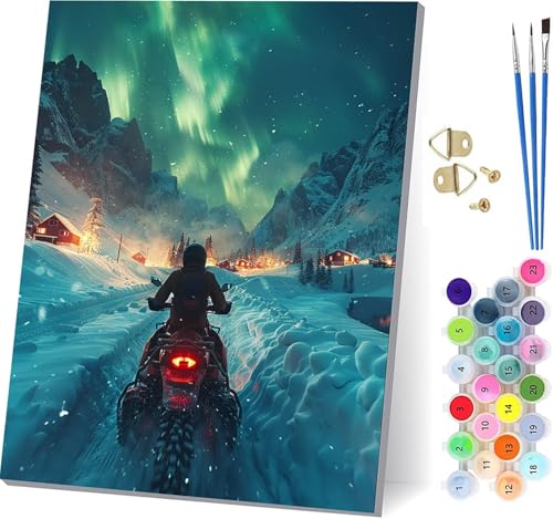 iF G DIY Paint by Numbers for Adults I[ LbgqS hG  Lbg uVƃANG̋ yCgoCio[ l̃NtgANeBre z[ ItBX ւ̃Mtg 5