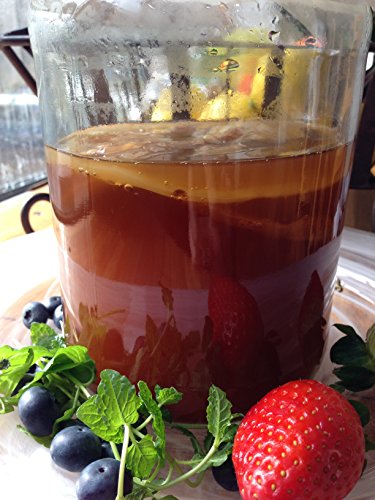 Large SCOBY + 1 cup of starting Kombucha + Detailed INSTRUCTIONS! by Brindle Southern Farms, LLC.
