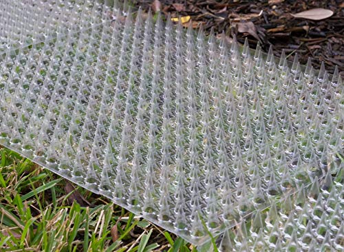 Cat Repellent Outdoor Scat Mat: Pet Deterrent Mats for Cats, Dogs, Pests - Indoor Outdoor Repellent Training Spike Mat Devices - Keep Away Pest Plastic Mats with Spikes - 16 x 13 Inches, 6 Pack