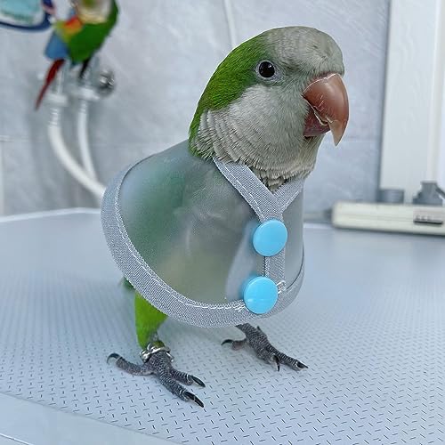 Image of Adjustable Parrot Cone Collar, Safe and Practical Cotton Collar to Prevent Bites and Licking Wounds, to Help heal (M)