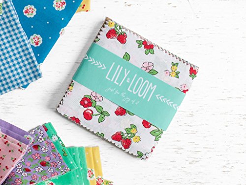 Craftsy Lily & Loom Strawberry Fizz Precut Fabric (5