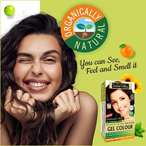 Indus Valley Natural Organic Damage Free Permanent Gel Hair Color, Ammonia Free, Vegan, Cruelty Free, Up To 100% Gray Coverage |Doctor Recommended| Bio Natural Certified- Dark Brown 3.0 (20Gram+200Ml) Pack Of 1 #TOP1