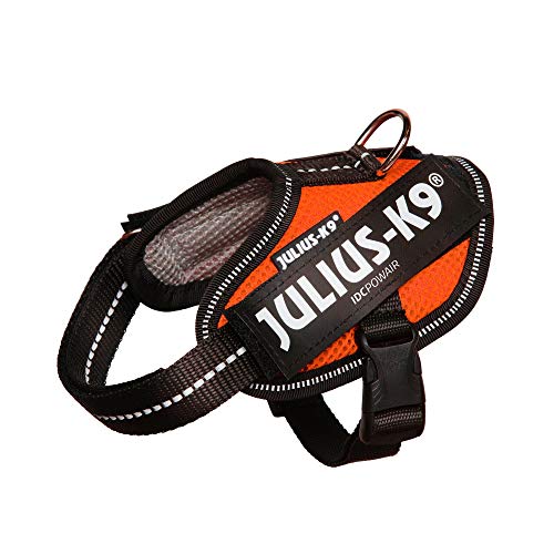Julius-K9, Pettorina IDC Powair, Taglia: 2XS / Baby 2, Arancione