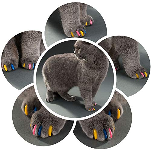 Joyjuly 140Pcs Pet Cat Kitty Soft Claws Caps Control Soft Paws Of 4 Glitter Colors, 10 Colorful Cat Nail Caps Covers + 7 Adhesive Glue+7 Applicator With Instruction, Small S #TOP5