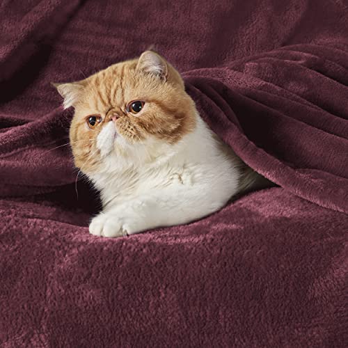 Image of Bedsure GentleSoft Fleece Blankets Queen Size Red - Bed Blanket Soft Lightweight Plush Fuzzy Cozy Luxury Microfiber, 90x90 inches