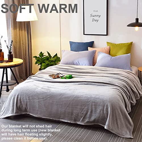 Kuscheldecke , Billpow 150 × 200cm Hochwertige Wohndecke Flauschig Sofa Decke Super Weiche Fleecedecke mit Antistatischem Draht und exquisiter Einfassung - Grau - Image 4