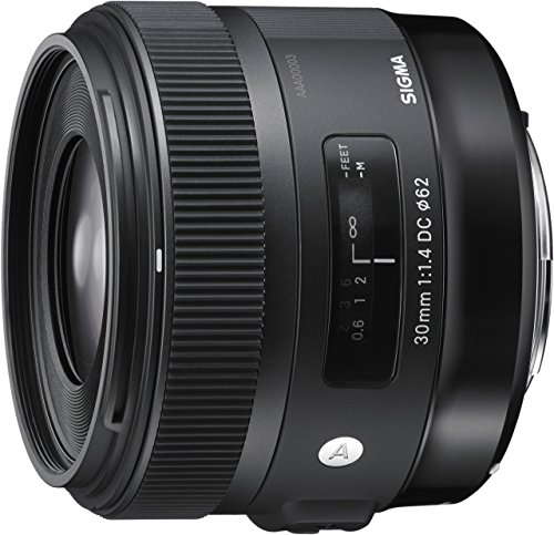 Sigma 30mm F1.4 Art DC HSM Lens for Nikon (Renewed)
