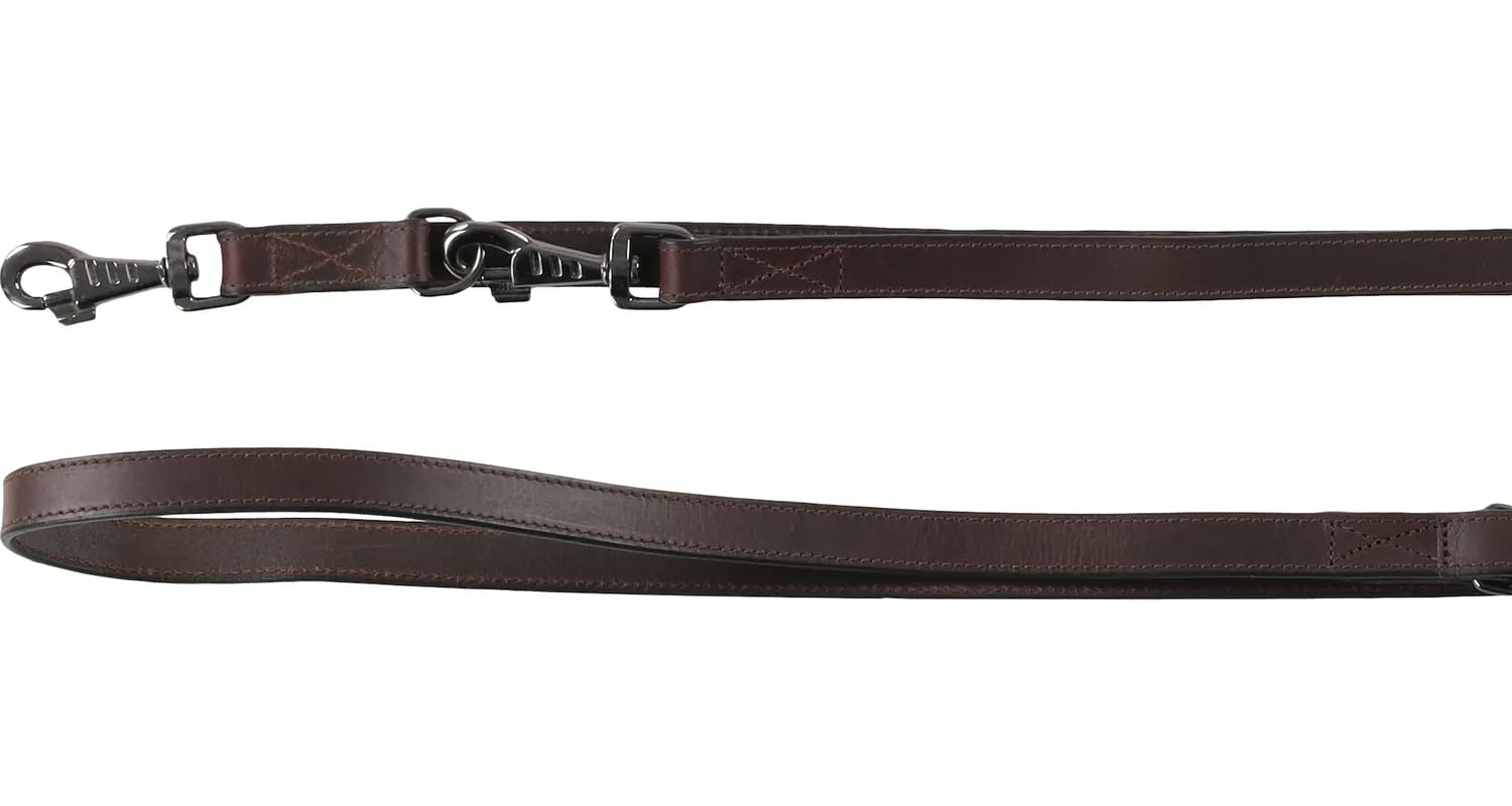 Flamingo Dog Training leash Denver Brown 2m 22mm