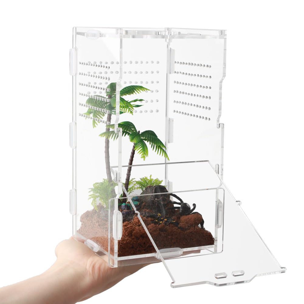 8x4x4 Inch Modern Rectangular Acrylic &amp; Polycarbonate Vivarium for Tarantulas, Lizards, Snakes, Geckos, Jumping Spiders, Snails, Insects
