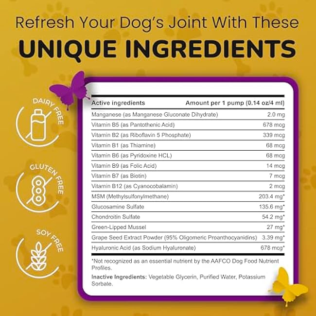 Hip and Joint Supplement for Dogs - Glucosamine Chondroitin for Dogs - Extend Joint Care, Flexibility Support & Bone Strength - With MSM, Hyaluronic Acid, Vitamin B12, B6, B1 & More - 16 Fl Oz-7LZxWmVN