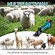 ONEVAN Schafschermaschine Akku, 6-Gang Schermaschine Schafe mit 2 4000mAh Akkus, Elektrische Schafschere Kabellosen Sheep Shears für Schafen, Ziegen, Alpakas