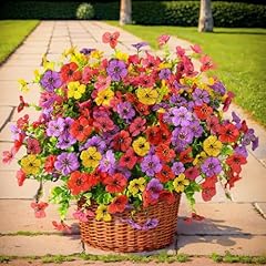 Rose Red & Yellow & Red & Purple