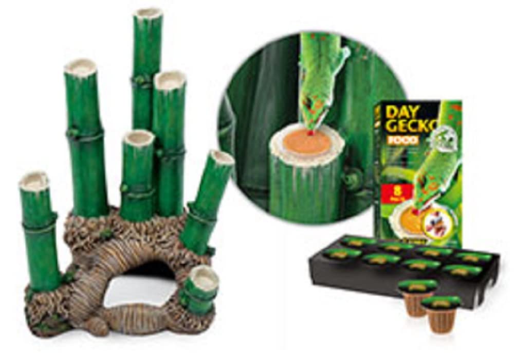 Exo Terra Kit Terrario Bamboo Pequeño, 30 x 30 x 45 cm