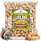 Office Roast Raw Peanuts in Shell 2 lb Bag – Unsalted, Natural & Healthy Snack – Plain Peanuts for Squirrels, Birds & Wildlife Feed