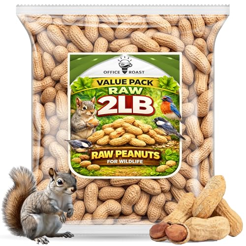 Office Roast Raw Peanuts in Shell 2 lb Bag – Unsalted, Natural & Healthy Snack – Plain Peanuts for Squirrels, Birds & Wildlife Feed